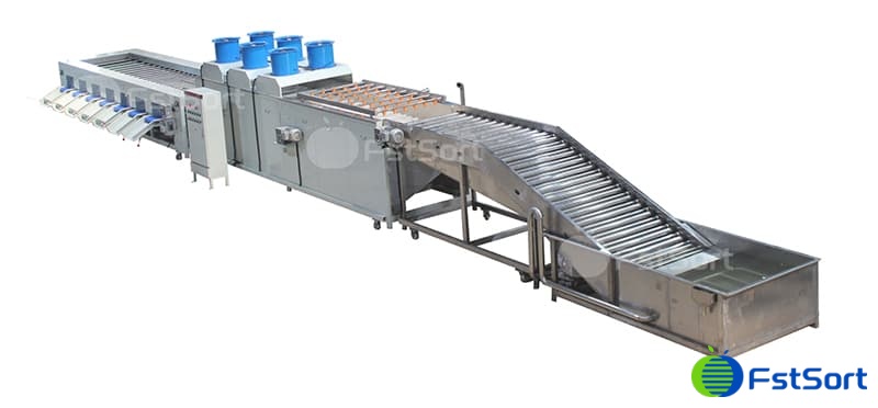 images/1717576080588eggplant cleaning sorting machine.jpg